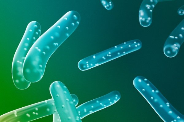 batteri pulitori e probiotici ambientali
